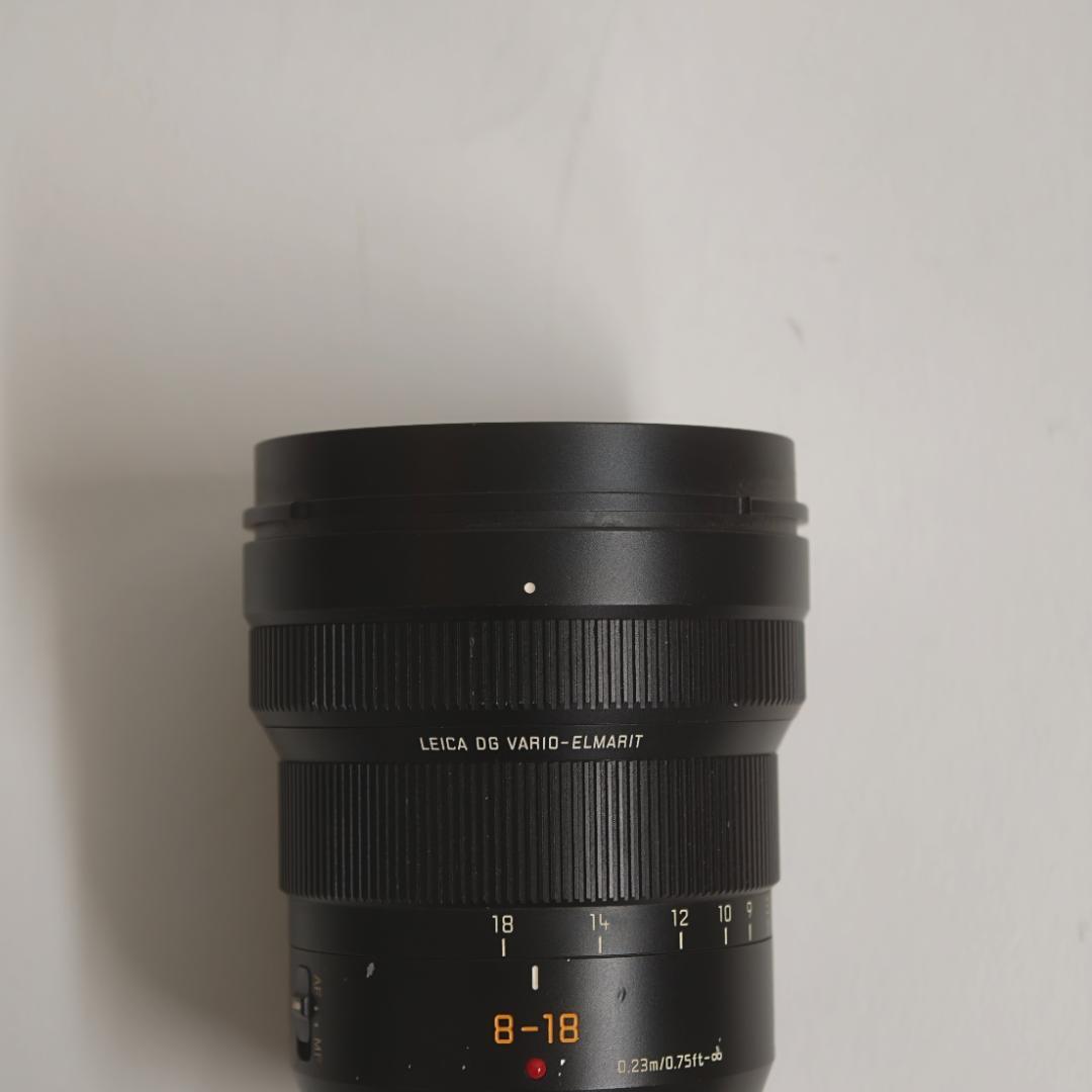 Panasonic Lens (Zoom) Leica Dg Vario-Elmarit 8-18Mm