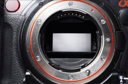 Sony Digital Slrs 900 Dslr-A900
