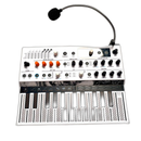 Analog Synthesizer Arturia Micro Freak