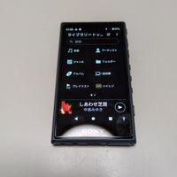 Sony Digital Audio Players Walkman Nw-A100