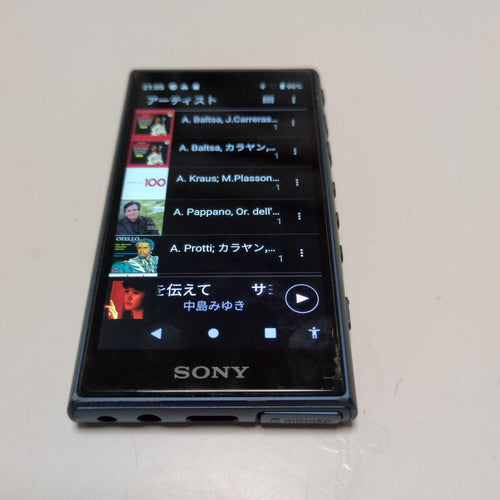Sony Digital Audio Players Walkman Nw-A100