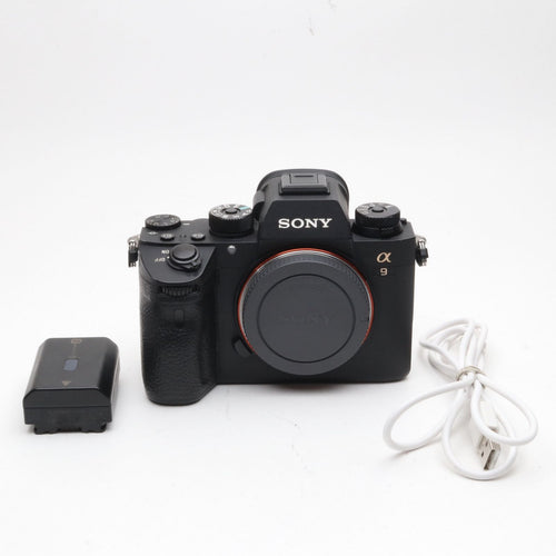 Sony Mirrorless Interchangeable Lips 41300 9 Ilce-9