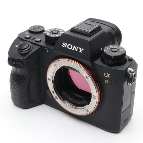 Sony Mirrorless Interchangeable Lips 41300 9 Ilce-9