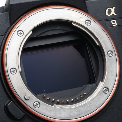 Sony Mirrorless Interchangeable Lips 41300 9 Ilce-9