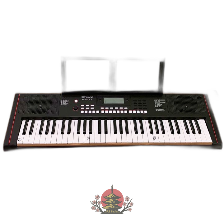 Roland Others E-X10