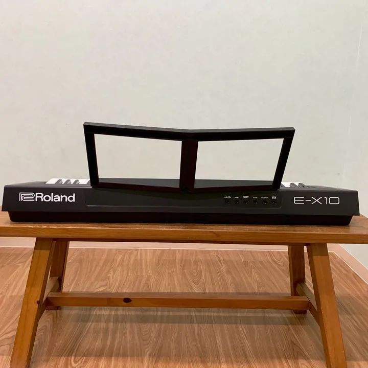 Roland Others E-X10