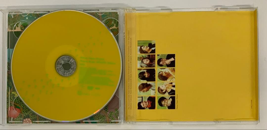 Japanese Music Nelson Magic Deluxe Edition(Dvd