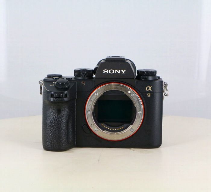 Sony Others 9 (Ilce-9)