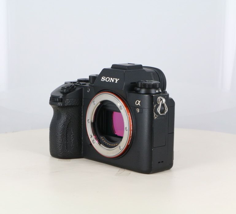 Sony Others 9 (Ilce-9)