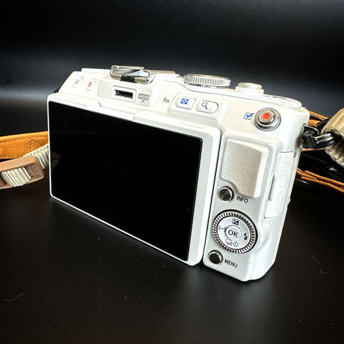 Olympus Mirrorless Interchangeable Lips Pen E-Pl6