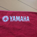 Yamaha Acoustic Guitars L 100