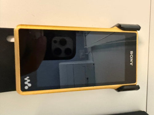 Sony Digital Audio Players Walkman Nw-Wm1Z 256Gb
