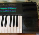Yamaha Analog Synthesizer Dx27S 61