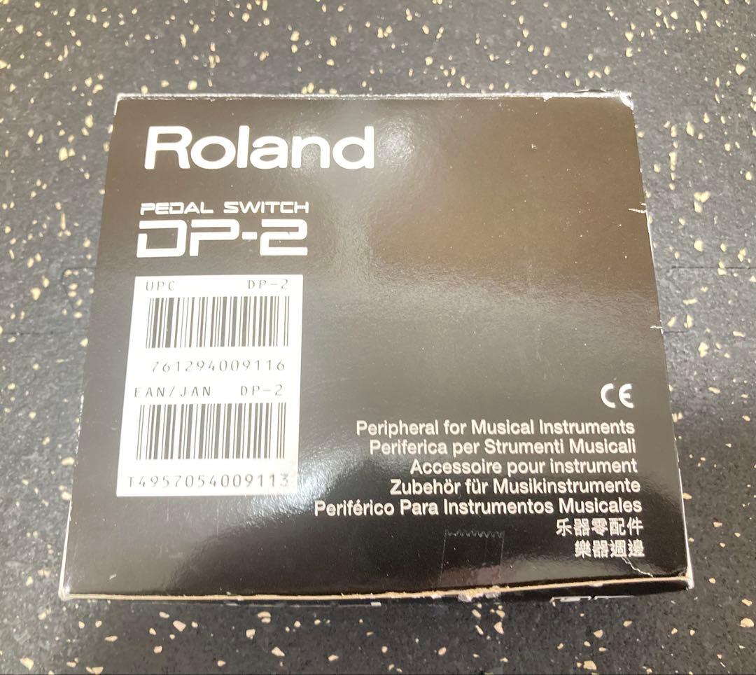 Roland Keyboard Electronic Piano Go:Piano Go-61P