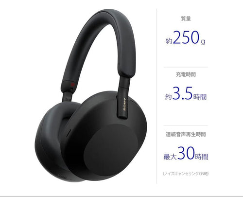 Sony Wireless Headphones 250G 30