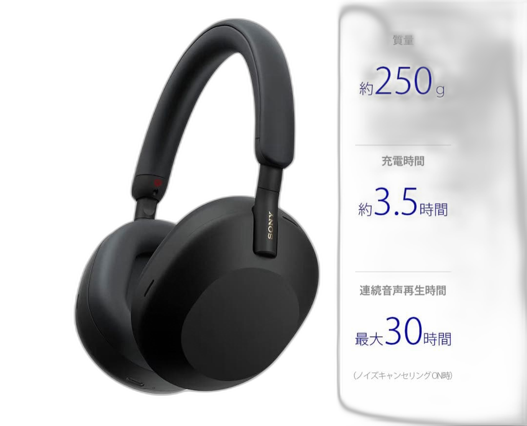 Sony Wireless Headphones 250G 30