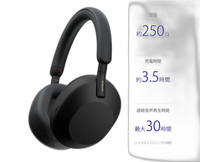 Sony Wireless Headphones 250G 30