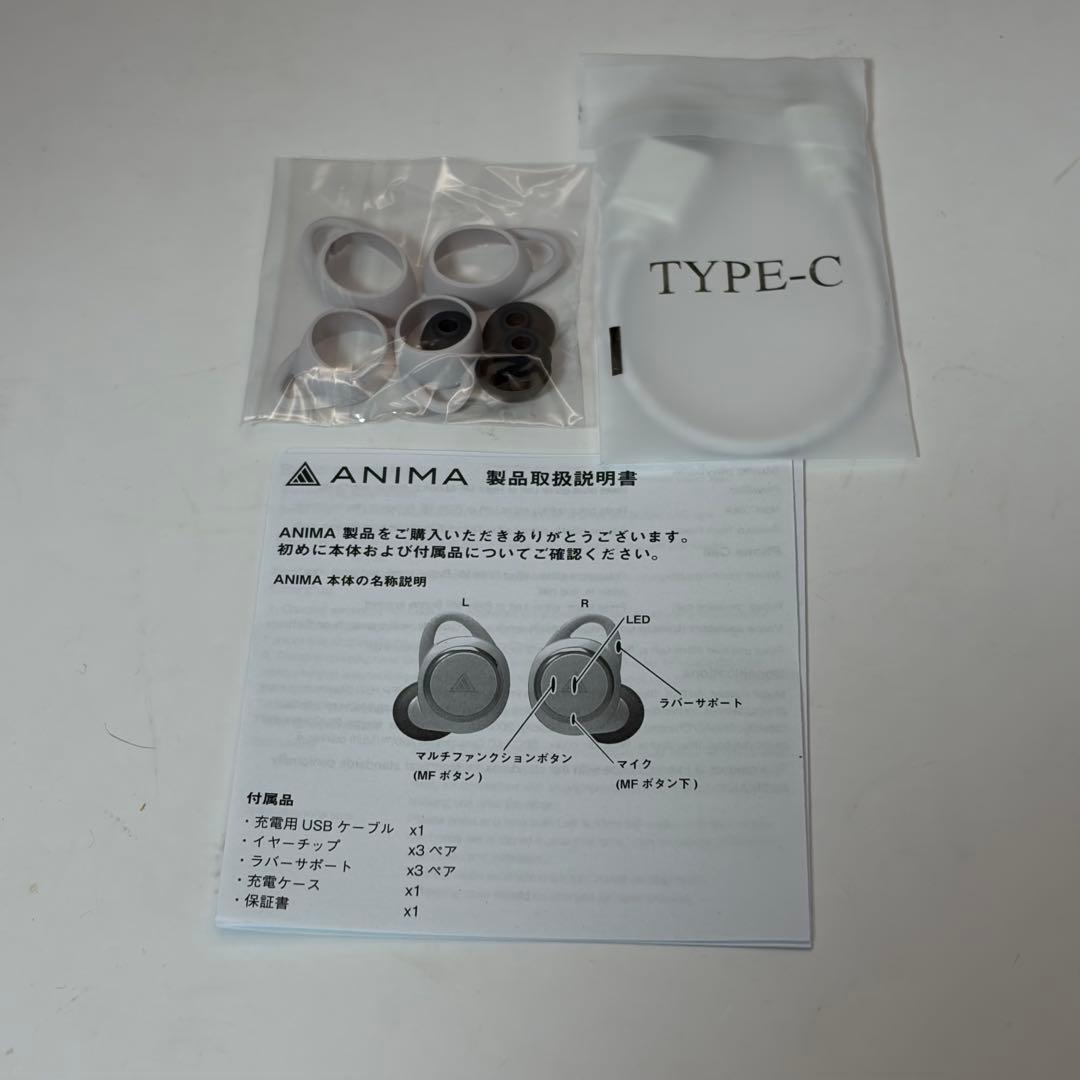 Onkyo Wireless Earphone