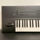 Korg Others 61 X3 100V