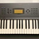 Korg Others 61 X3 100V