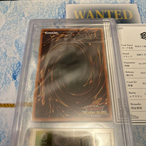 Yu -Gi -Oh! Rush Duel Ars10