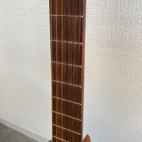 Yamaha Classical Guitars G-80A D790