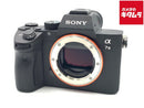 Mirrorless Interchangeable Lips 7Iii [Ilce-7M3]