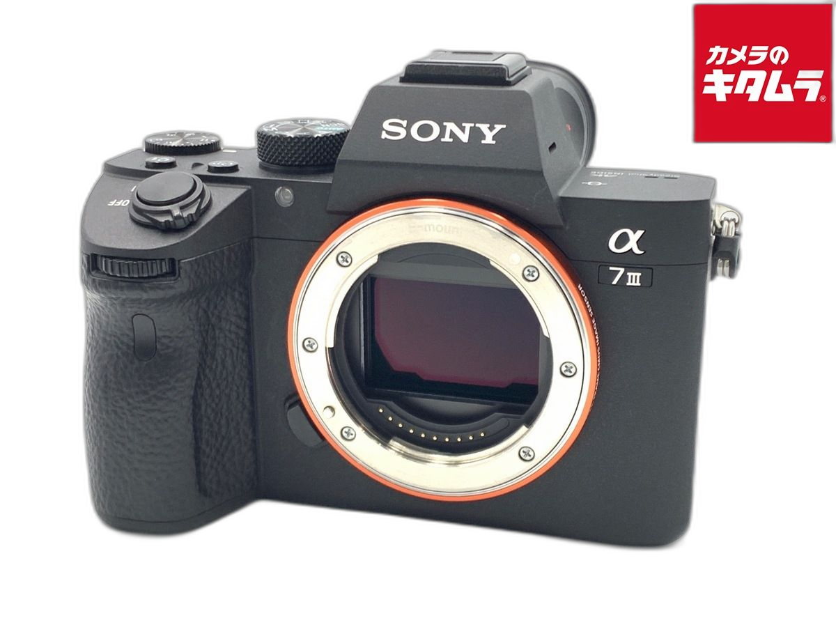 Mirrorless Interchangeable Lips 7Iii [Ilce-7M3]