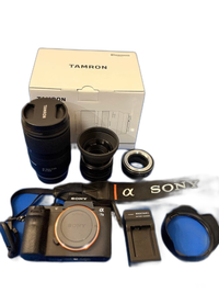 Sony Mirrorless Interchangeable Lips 7 Tamron