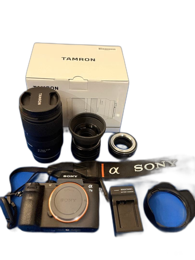 Sony Mirrorless Interchangeable Lips 7 Tamron