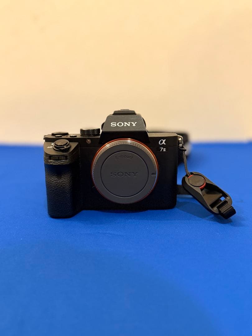 Sony Mirrorless Interchangeable Lips 7 Tamron