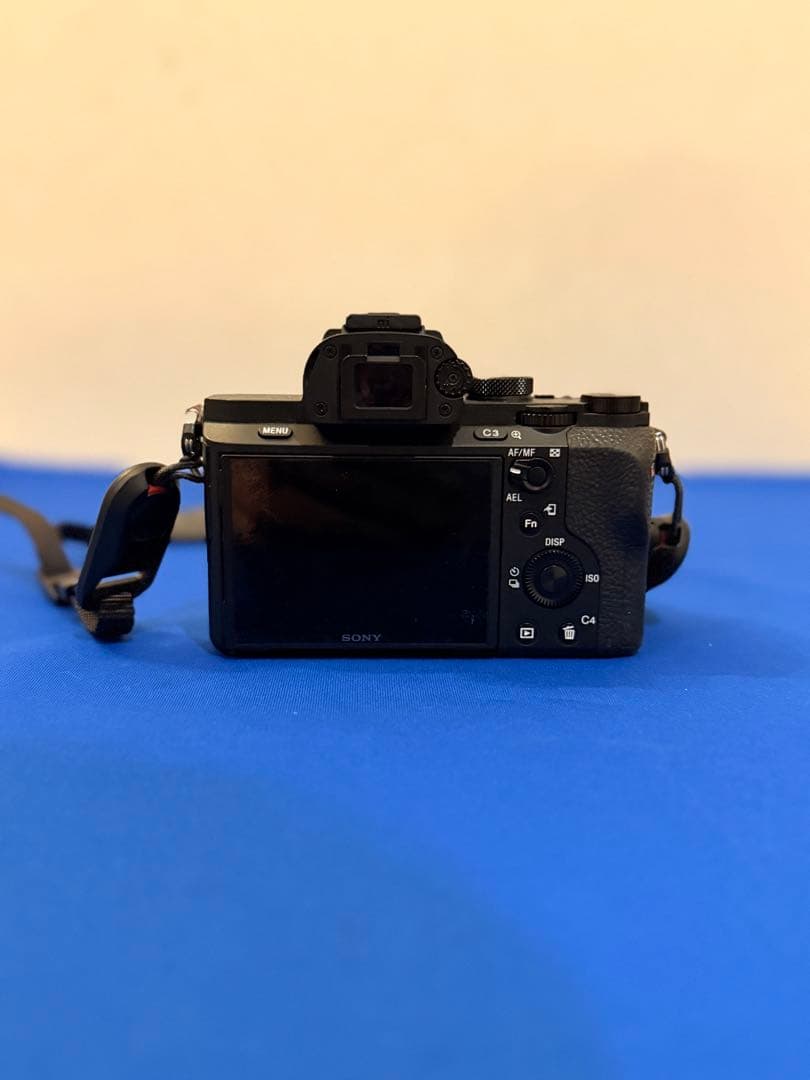 Sony Mirrorless Interchangeable Lips 7 Tamron