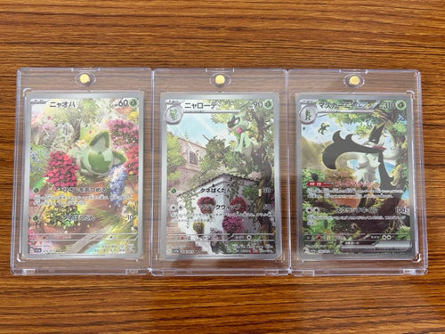 Pok Mon Trading Card Game Sar Ar Ar3