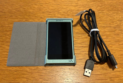 Sony Digital Audio Player Usb