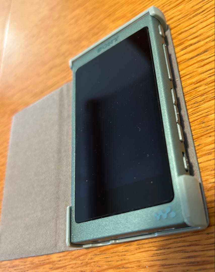 Sony Digital Audio Player Usb