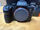 Sony Mirrorless Interchangeable Lips 7 Iii