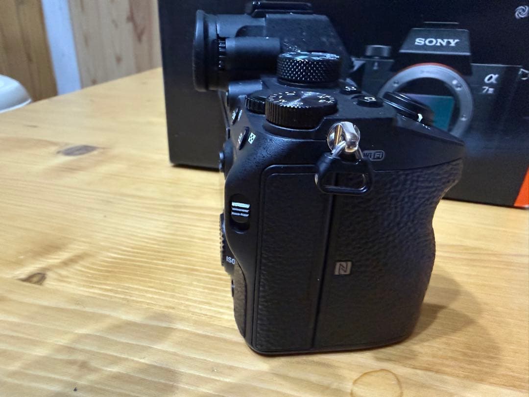 Sony Mirrorless Interchangeable Lips 7 Iii