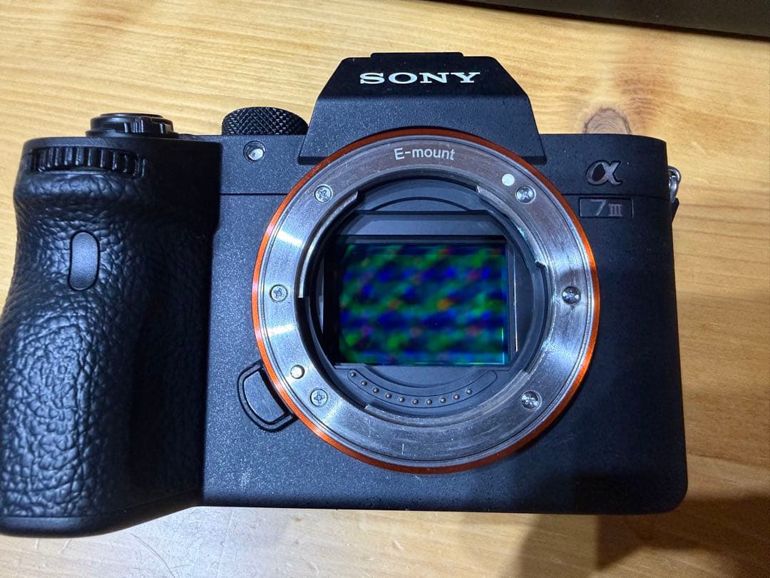 Sony Mirrorless Interchangeable Lips 7 Iii