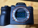 Sony Mirrorless Interchangeable Lips 7 Iii