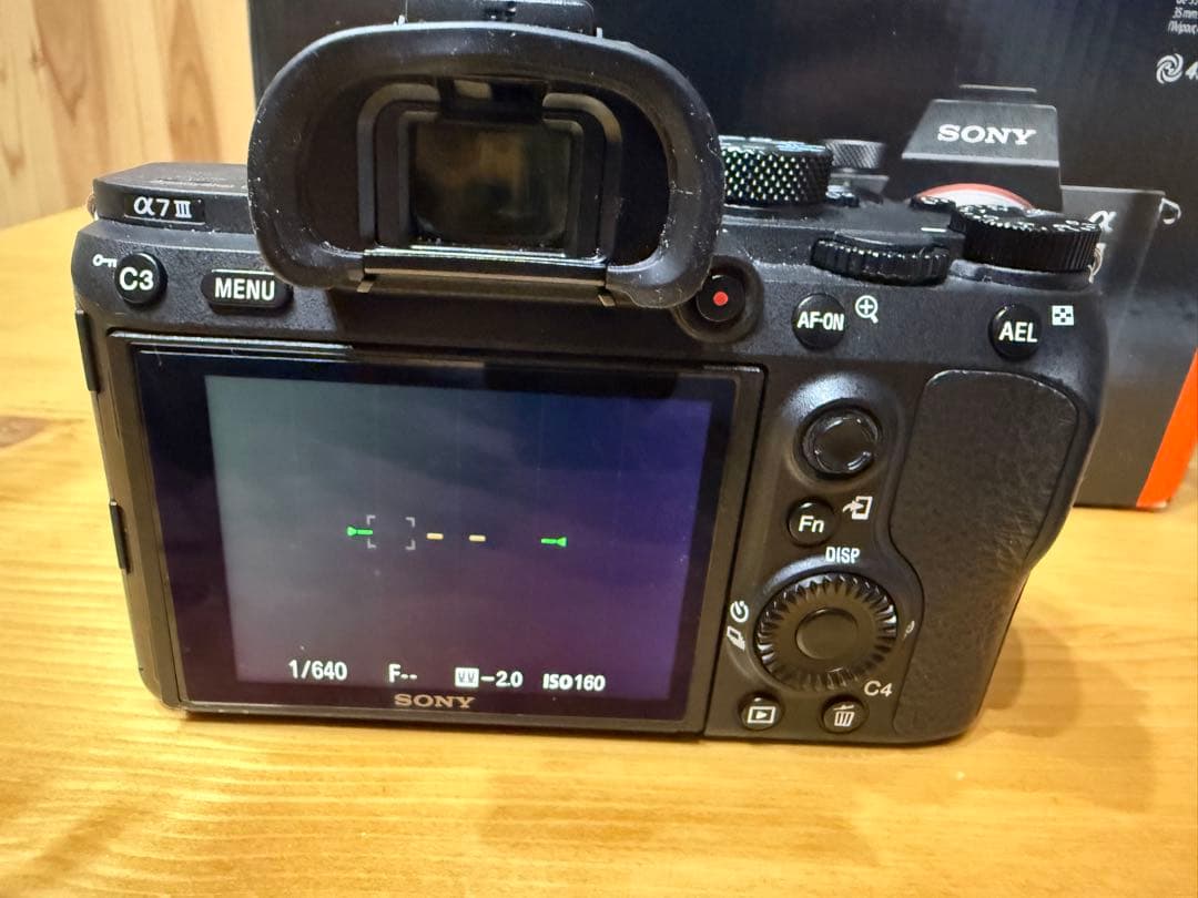 Sony Mirrorless Interchangeable Lips 7 Iii