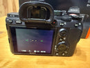 Sony Mirrorless Interchangeable Lips 7 Iii