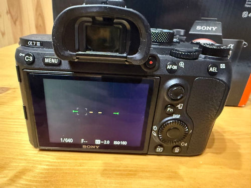 Sony Mirrorless Interchangeable Lips 7 Iii