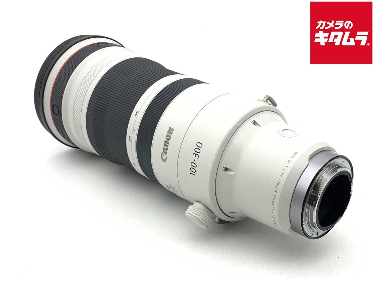 Lens (Zoom) Rf100-300Mm F2.8 L Is Usm