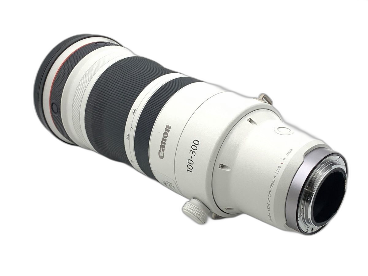Lens (Zoom) Rf100-300Mm F2.8 L Is Usm