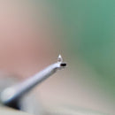 Denon Record Needles Cartridges Mc Dl-103D