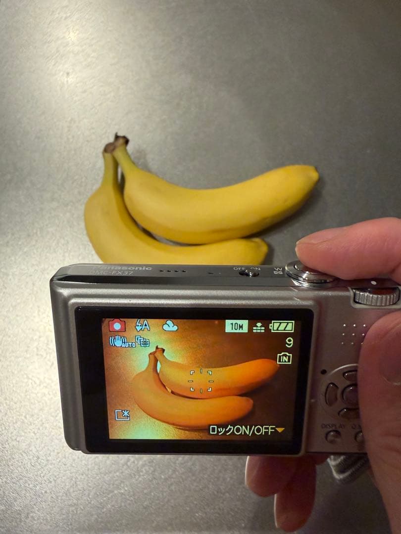 Panasonic Compact Digital Cameras Lumix Dmc-Fx37