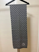 Louis Vuitton Scarves