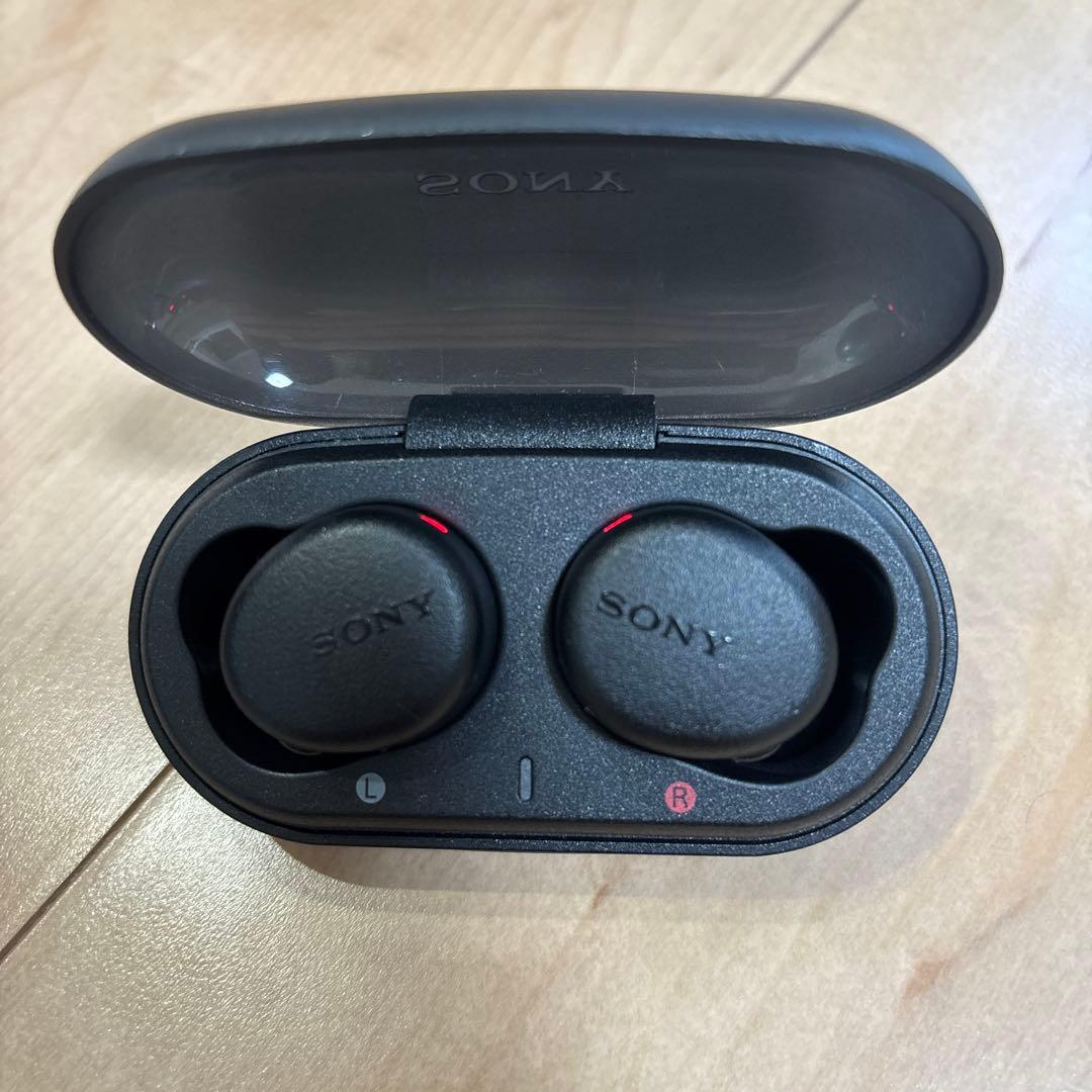 Sony Wireless Earphones Bcwfx8700