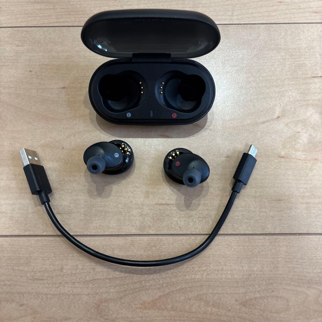 Sony Wireless Earphones Bcwfx8700