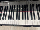 Yamaha Keyboard Electronic Piano 90200 N1X 19